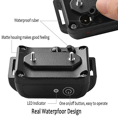 [Neue Version] Buydaly 1000 Yards Wasser Beweis wiederaufladbare einstellbare Hundeschulen Kragen wasserdicht Ausbildung Kragen verstellbar E Hundehalsband mit Funkfernbedienung - 5