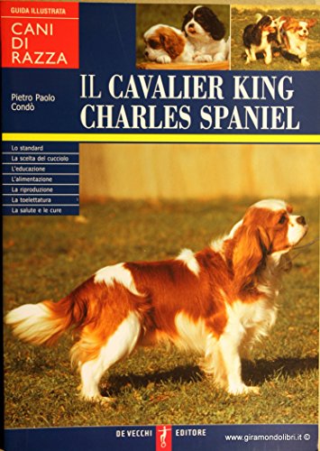 Il cavalier King Charles spaniel