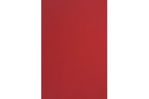 Netuno 20x carta colorata rosso formato A4 210 × 297 mm 170g Sirio Color Lampone cartoncini colorati da stampare carta da zucchero A4 rossa qualità per lavoretti natalizi inviti partecipazioni