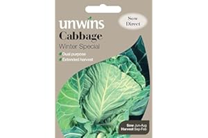 Unwins Pictorial Packet - Cabbage (Spring Greens) Winter Special - 50 Seeds