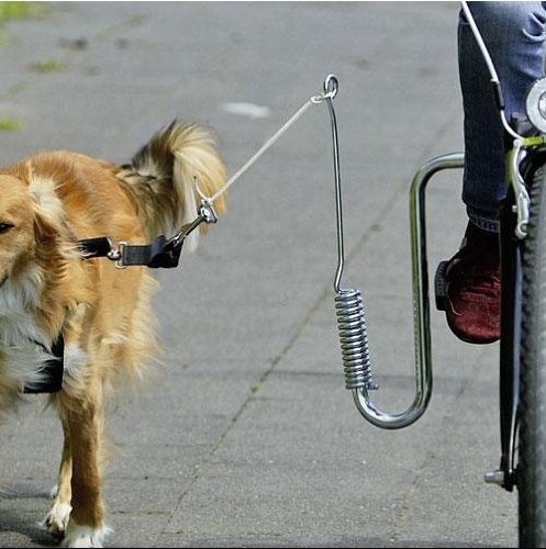 Preisvergleich Produktbild Hunde Fahrradhalterung Fahrradabstandshalter Fahrradleine Führhalter für Fahrräder Fahrrad Halterung Federpuffer