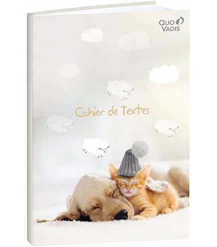 Cahier De Texte Lapins Crétins Hamelin + Règle Marque-page En Bois Blumie - 160 Pages, 17x22 Cm - Pour L'école