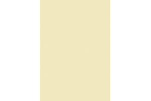 Brunnen 105122511 papier uniwersalny, A4, 25 arkuszy, 160 g/m², kolor szampański