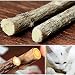 Produktbild kangql 100 CAT Zahnreinigung Stick reinen, natürlichen Katzenminze Kitty Molar Zahnpasta Ruten
