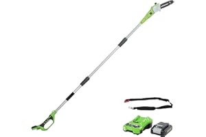 Greenworks G24PS20K2 Sega Potatrice telescopico a Batteria, Lunghezza Barra 8 Pollice (20cm), Velocità Catena 6,7m/s, 3,2kg, Asta 2,6m, Batteria 24V 2Ah e Caricabatterie, Garanzia 3 Anni