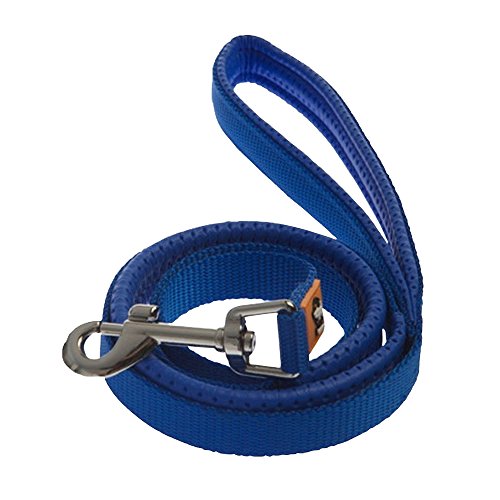 Canny Plomb Bleu 25 mm Taille Moyenne/Grand Chien