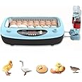 DEONG Full-AutomaAtic Incubator with egg testing Function, Small Household Chick Fry, Duck, Goose, Pigeon, Parrot Incubator, Visual Window Temperature control (wathet 36 eggs)