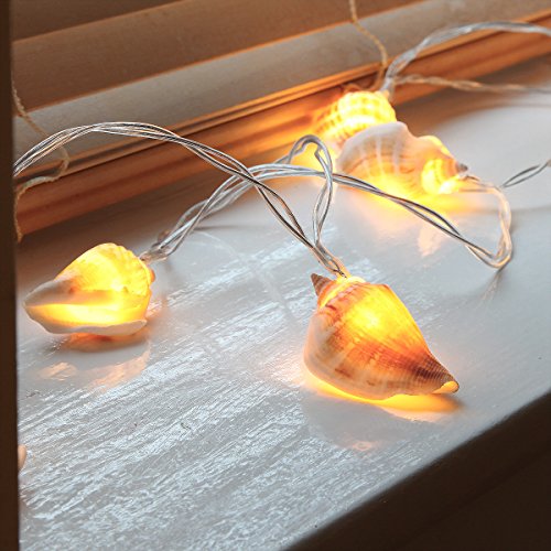 Muschel Lichterkette, 10 LEDs warmweiß, echte Muscheln, 1,5m, von Festive Lights - 5