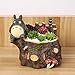 Produktbild T-124124 Tritow Kreative Harz Blumentopf Sukkulenten Pflanzer Topf Totoro Blumentopf Mini Hausgarten Dekoration Bonsai Blumentopf