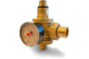 BEST SOLAR Riduttore di pressione in ottone per acqua calda ad azione diretta (3/4" M)