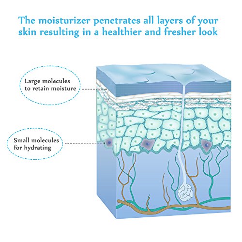 Anjou HYALURONSÄURE SERUM für Gesicht, Hals und Dekolleté – Glättendes und verjüngendes Anti-Aging Serum in klinischer Stärke – Das beste biodynamische Anti-Falten Serum mit Ginseng + Vitamin E, MSM und Jojoba-Öl, 30ml - 3