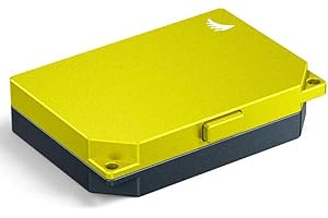 Angelbird - Custodia per riporre schede di memoria Media Tank CFexpress Type B