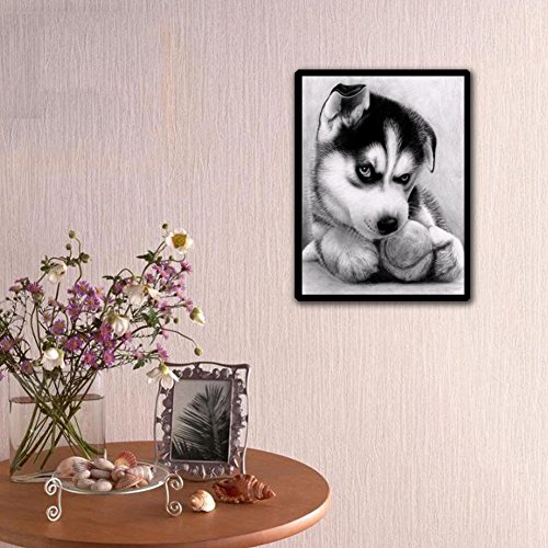 Amazingdeal365 Motiv- Hunde 2 5D DIY Diamond Stickerei Malerei Kreuzstich Kinderhandarbeit zum Lernen für Balkon,Terasse,Café,Kinderzimmer,Wohnzimmer, Schlafzimmer, Arbeitszimmer usw. - 2