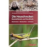 Die Heuschrecken Deutschlands und Nordtirols: Bestimmen – Beobachten – Schützen (Quelle & Meyer Bestimmungsbücher)