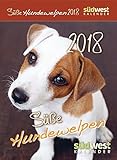 Image de Süße Hundewelpen 2018 ABK