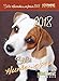 Süße Hundewelpen 2018 ABK by