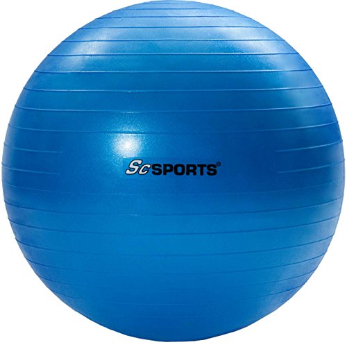 Gymnastikball Sitzball 65 cm Ball verschiedene Farben