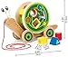 Hape HAP-E0349 Walk-A-Long Snail
