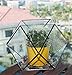 Produktbild NUO-Z Glas Blumenkasten Offener Würfel Geometrische Terrarium Tischplatte Sukkulenten Fern Moos Vase Garten Bonsai Topf für Luftpflanzen Kakteen (Keine Pflanzen)
