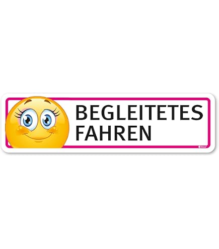 Begleitetes Fahren | Alle Infos zum Führerschein mit 17