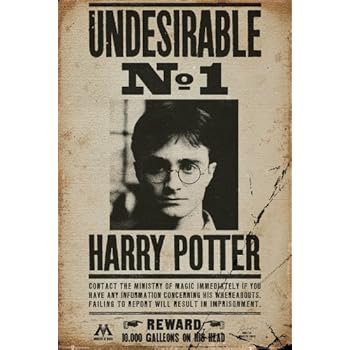 Harry Potter Expecto Patronum Poster 3d Lenticular Moving Pictures Art Print Harry Potter Skateboardtraining Collectibles