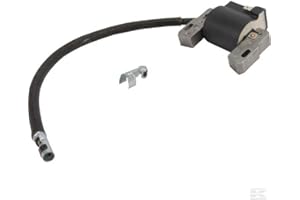 OREGON SCIENTIFIC Zündspule für Briggs & Stratton 9-14 PS und Vanguard 591459