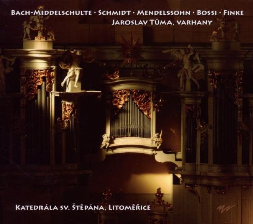 Preisvergleich Produktbild Orgelmusik im Dom Von Leitmeritz