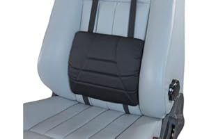 Big Ant - Cuscino lombare per auto, supporto lombare universale perfetto per tutti i veicoli, casa, ufficio, sedia a rotelle (nero)