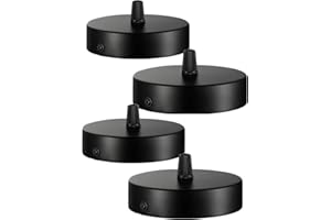 CHEDIN Deckenbaldachin 100x20mm,Anschlussdose aus Metall,1 Loch Runder Lampenschirm - Deckenrosette - Mattschwarz,alle Lampen Geeignet (4 pcs)