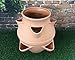 Produktbild Multi Nutzung Garten Übertopf Terracotta Effekt \ perfekt für Kräuter Strawberry & Pflanzen