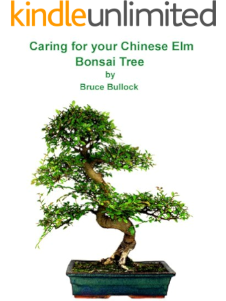 Caring For Your Chinese Elm Bonsai Tree Ebook Bullock Bruce Amazon Co Uk Kindle Store