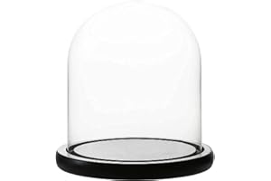 WHOLE HOUSEWARES Decorative Clear Glass Dome | 6" D x 10" H Cloche Bell Jar Display Case with Black Wooden MDF Base | For Tabletop Centerpieces, Collectible, Candles, Fairy Lights, Plants, & Antiques