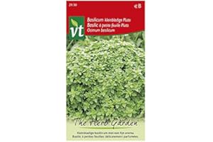 ARBORIX, PLUS VERT - MOINS CHER Pluto Piccolo Basilico a Foglia - Basilico nano con fogliame fine, molto aromatico Semi