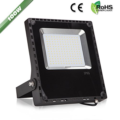 LEBRIGHT Faretto LED Esterno 100W, 100-240V, Angolo del fascio luminoso 120 °, IP65 Impermeabile, LED Faretti, Paesaggio esterne di illuminazione, I proiettori esterni del LED (6000K)