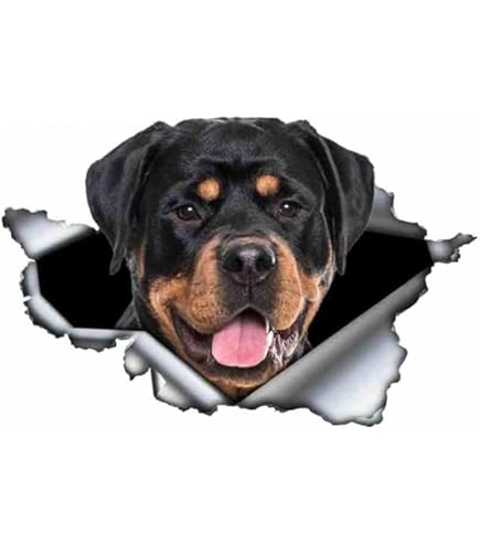 Autocollant Voiture Rottweiler Réfléchissant - PVC Noir 15cm, Imperméable, 'Rottweiler On Board'