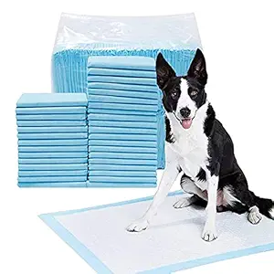 GINJUC Training Pads for Cat, Dogs, Puppy, Pet, Water Absorbent, Pee & Potty pad, Suitable for Small/Medium Breed, 60X45cm, (20 Count)