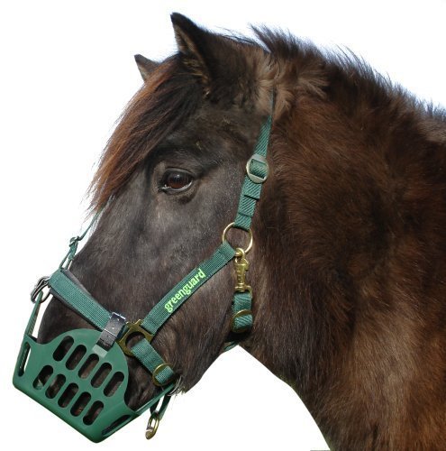 greenguard-Set-Muzzle-Headcollar-Size-66