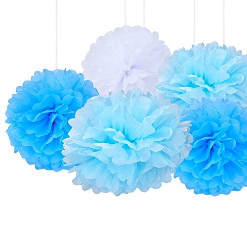 eBoot Seidenpapier Pom Poms PomPoms Blume für Hochzeit Dekoration Party Deko, 10 Zoll, 9 Stück - 3