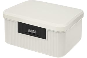 BUERPINKING 2 Etagen Abschließbare Box, Medikamentenbox aus ABS, Medikamenten Aufbewahrung, 26.2 x 22 x 12.1cm Medizinbox, Multifunktions Medikamenten Organizer, Hausapotheke Box, Aufbewahrungsbox