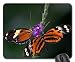 Produktbild Schmetterling auf Echinacea Mauspad, Mousepad (Schmetterlinge Mauspad) #010