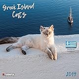 Greek Island Cats 2019: Kalender 2019 (Wonderful World) by
