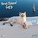 Greek Island Cats 2019: Kalender 2019 (Wonderful World) by