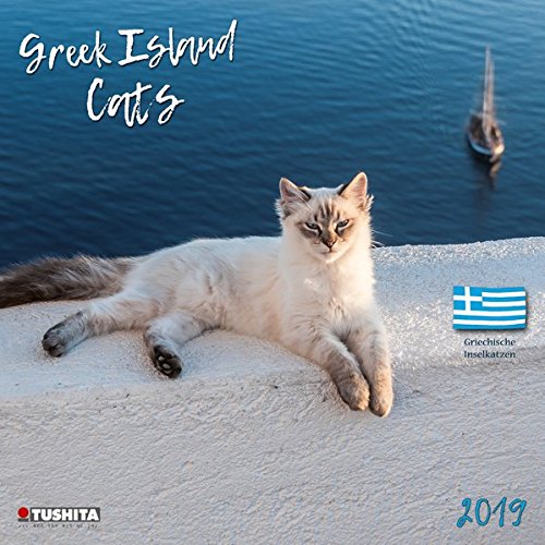 Greek Island Cats 2019: Kalender 2019 (Wonderful World)