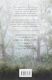 Image de Il bosco racconta: Storie del bosco antico-Torneranno le quattro stagioni