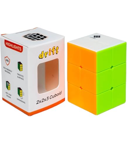 GAN 251 M Leap, 2 x 2 Speedcube magnetische zonder borduurwerk 251 mini- kubus 63 magneten voor beginners: binnen (mat mat mat oppervlak aan de binnenkant wit