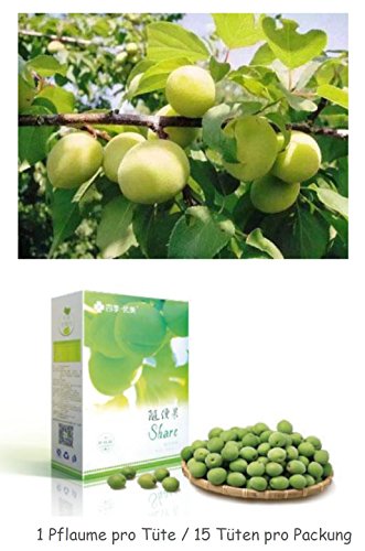 Preisvergleich Produktbild SHARE PLUM