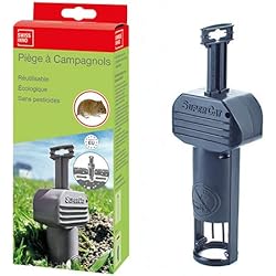 SuperCat Campagnol Swissinno piège Efficace, Se Pose Facilement et sans Effort, Une pièce, Gris