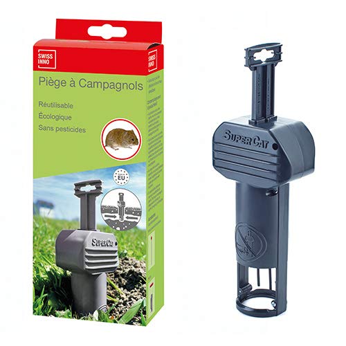 SuperCat Campagnol Swissinno piège Efficace, Se Pose Facilement et sans Effort, Une pièce, Gris