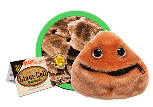 Preisvergleich Produktbild Giant Microbes Liver Cell (Hepatocyte) Plush by Giant Microbes