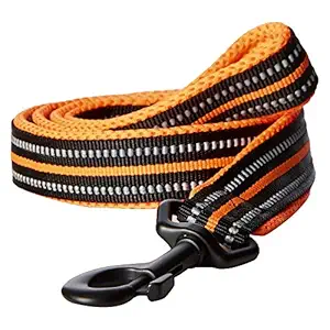 PetsUp Nylon Small Medium Large Dogs Reflective Orange Leash, 2cm Breadth, 200cm Long